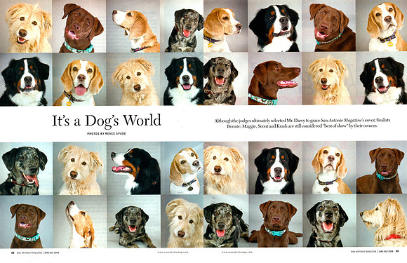 San Antonio Mag June 2008 Cover Dog Finalist Montage