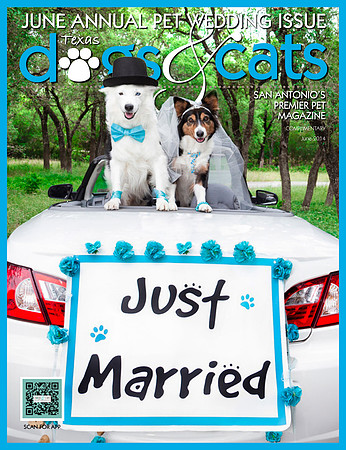 TDSA_June_2014 Cover