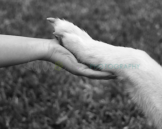 021_18AHandinpaw8X10