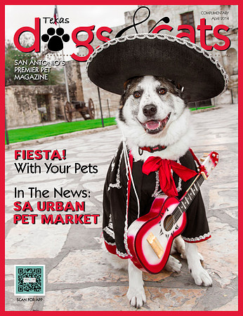 April 2014 TDSA Cover
