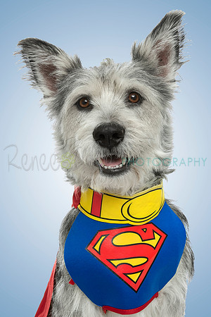 _MG_4335-38 headshot