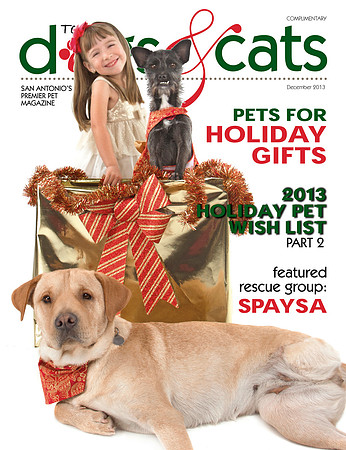 december 2013 cover