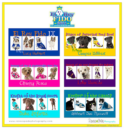 ERF2011MainWEBGRAPHIC