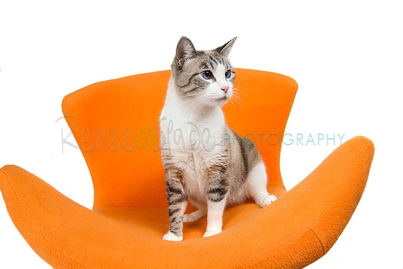 _MG_8870