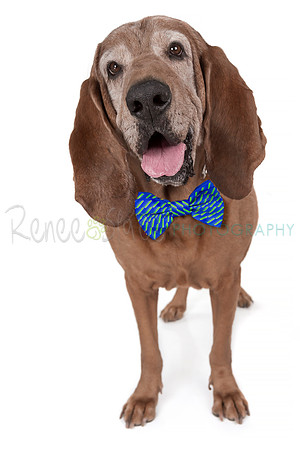 IMG_9952-024