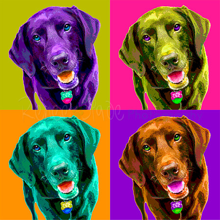 Chocolate Lab_charlie3