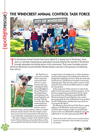 texas dogs and cats san antonio may 2013-34
