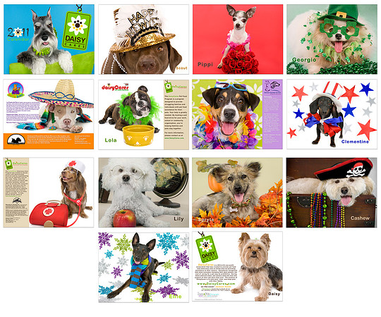 DaisyCares 2011 Calendar Tear sheet