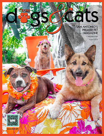 Aug 2014 Cover