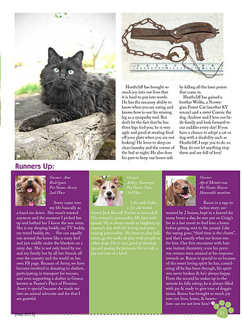 texas dogs and cats san antonio may 2013-23