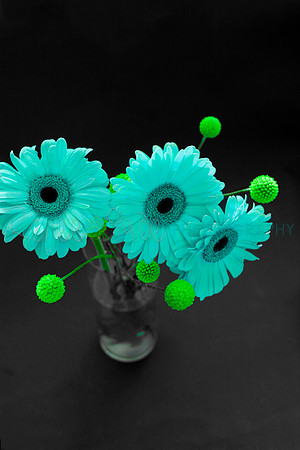 _MG_7059_turqflowers