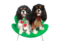 Henry Otto & Hattie Spreen favs 2024