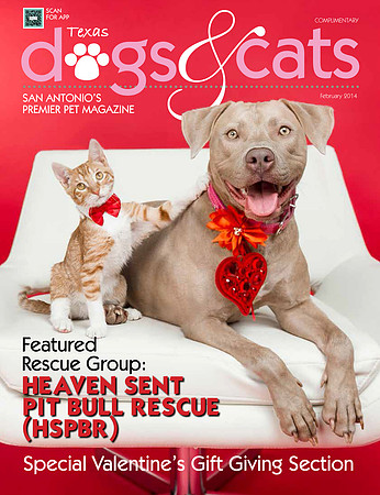 texas dogs and cats SA feb 2014 v4-1