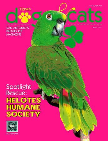 march 2014 cover5-1
