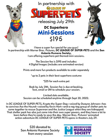 SuperHero Minis-Webpage copy