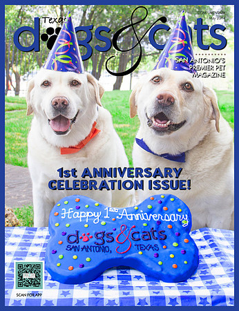 TDSA_May_Cover 2014