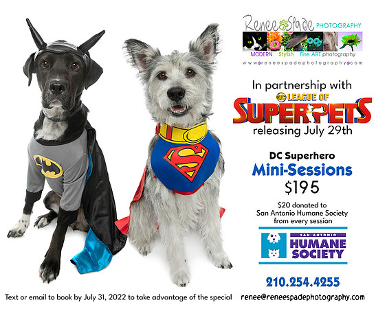 SuperPet Mini-session  FINAL