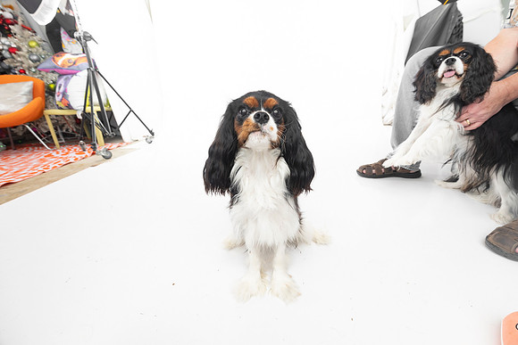 _66A7567